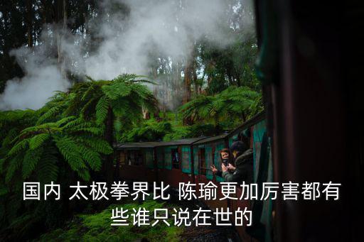陳瑜太極,陳瑜是龍虎"陳發科第一子