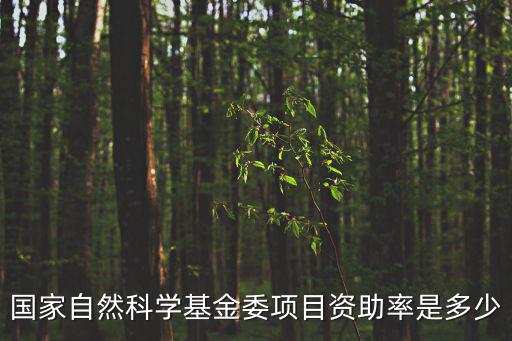 國家自然科學基金委項目資助率是多少