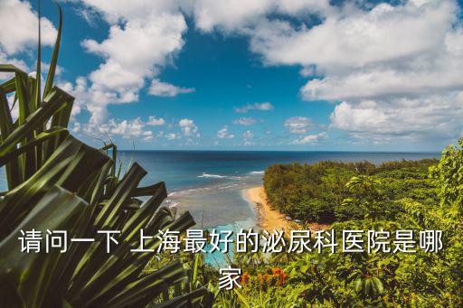 請問一下 上海最好的泌尿科醫院是哪家