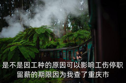 是不是因工種的原因可以影響工傷停職留薪的期限因為我查了重慶市