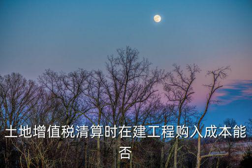 土地增值稅清算時在建工程購入成本能否