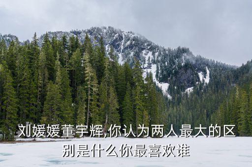  劉媛媛董宇輝,你認(rèn)為兩人最大的區(qū)別是什么你最喜歡誰