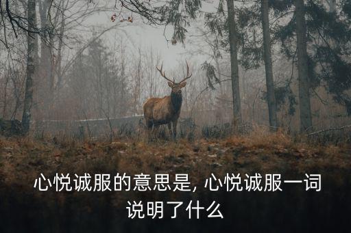  心悅誠服的意思是, 心悅誠服一詞說明了什么