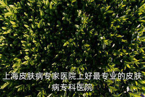 上海皮膚病專家醫院上好最專業的皮膚病?？漆t院