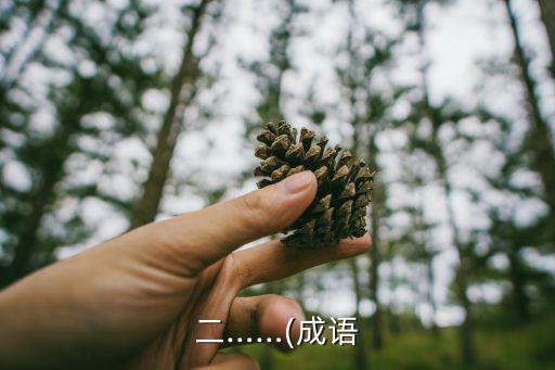 二姓之好,二姓二病三心二意