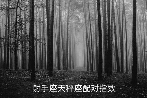  射手座天秤座配對指數(shù)