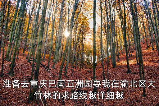 重慶市渝北區(qū)大竹林規(guī)劃圖，重慶渝北區(qū)大竹林這個地方怎么樣從那面怎么到沙坪壩