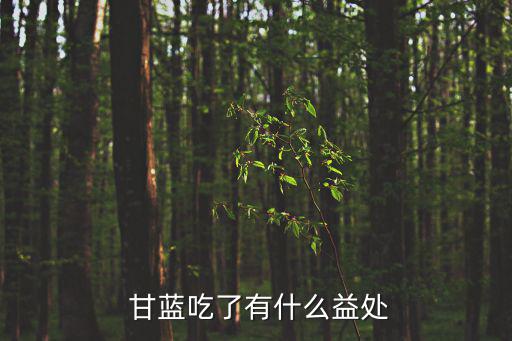  甘藍(lán)吃了有什么益處