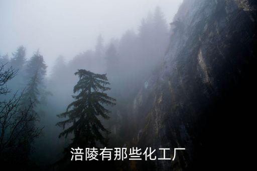 涪陵有那些化工廠