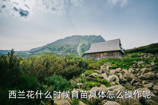 西蘭花種子,如何種植西蘭花?一般采用以下方式種植