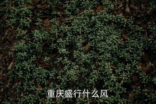 重慶盛行什么風