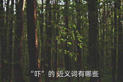 嚇唬的近義詞,嚇壞了近義字為恐嚇