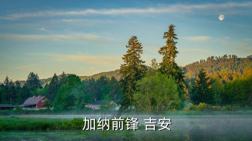 加納吉安,世界杯序幕戰吉安打入15球巴西3-0加納晉級