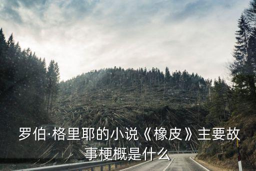  羅伯·格里耶的小說《橡皮》主要故事梗概是什么