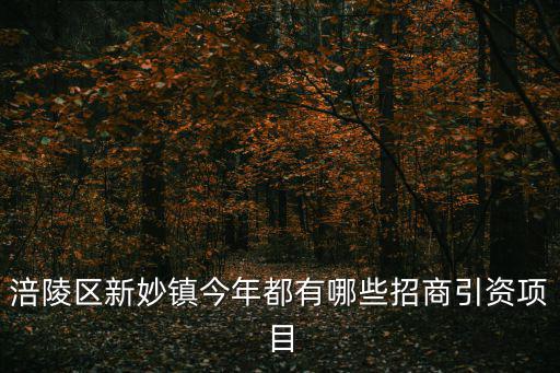 涪陵區(qū)新妙鎮(zhèn)今年都有哪些招商引資項(xiàng)目