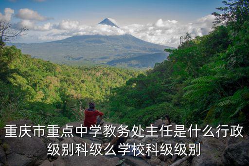 重慶市 職務與職級并行，職務與職級并行是什么意思