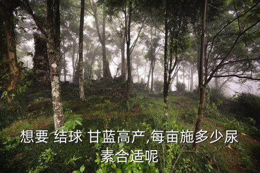 結球甘藍,為追求高產菜農盲目增施氮肥農藥殘留體內
