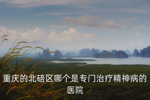 重慶市北碚區檢蔡院q，重慶的北碚區哪個是專門治療精神病的醫院