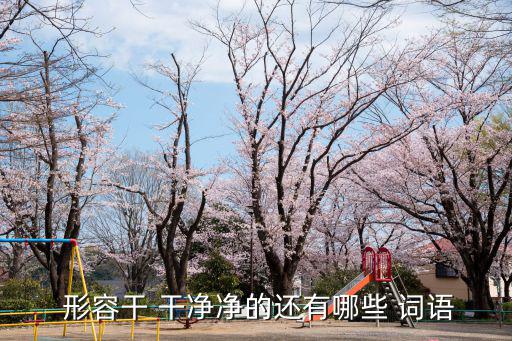  形容干 干凈凈的還有哪些 詞語