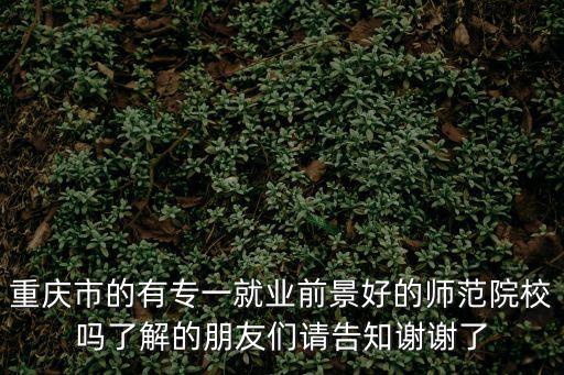 重慶市的有專一就業前景好的師范院校嗎了解的朋友們請告知謝謝了