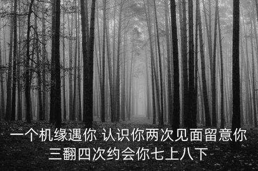 重慶市紀委五屆二次全會講話稿，一個機緣遇你 認識你兩次見面留意你三翻四次約會你七上八下