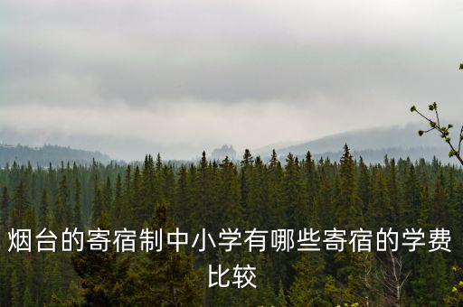 煙臺的寄宿制中小學有哪些寄宿的學費比較