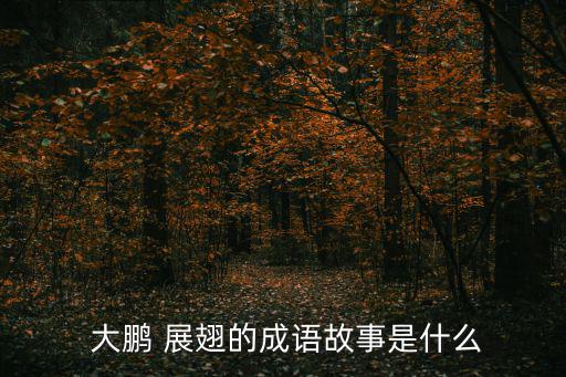 大鵬展翅,大鵬展翅和小鵬爭鋒相對!