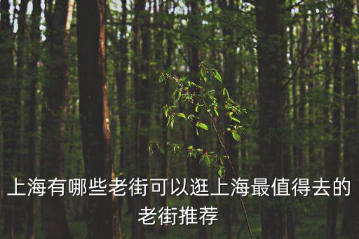 上海最有名的老街有哪些地方，上海有哪些老街可以逛上海最值得去的老街推薦