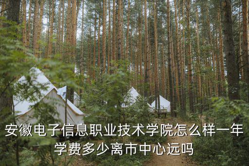 安徽電子信息職業技術學院怎么樣一年學費多少離市中心遠嗎