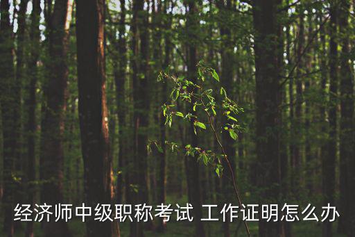 經(jīng)濟(jì)師中級(jí)職稱(chēng)考試 工作證明怎么辦