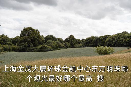 上海金茂大廈環(huán)球金融中心東方明珠哪個(gè)觀光最好哪個(gè)最高  搜