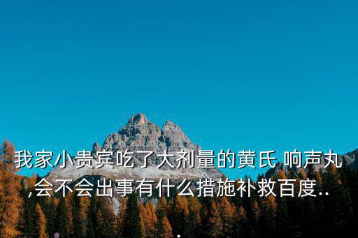 我家小貴賓吃了大劑量的黃氏 響聲丸,會不會出事有什么措施補救百度...