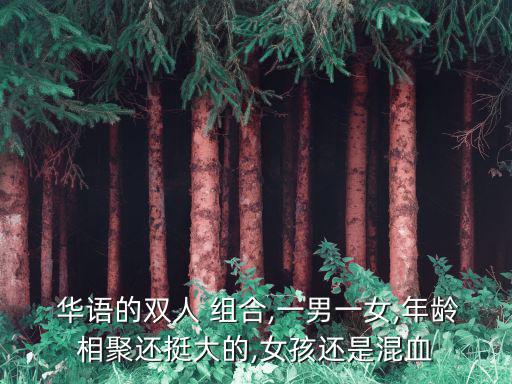 華語組合,雙胞胎姐妹組成mi2組合