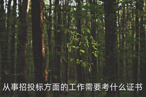從事招投標方面的工作需要考什么證書