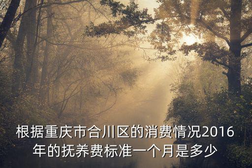 根據重慶市合川區的消費情況2016年的撫養費標準一個月是多少