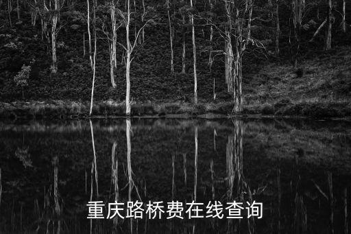 重慶路橋費在線查詢
