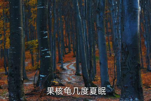  果核龜幾度夏眠