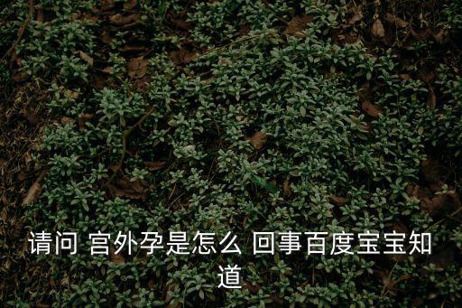 請問 宮外孕是怎么 回事百度寶寶知道