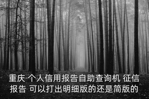 重慶 個人信用報告自助查詢機 征信報告 可以打出明細版的還是簡版的