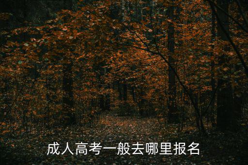 成人高考一般去哪里報名