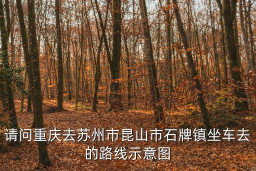 請(qǐng)問(wèn)重慶去蘇州市昆山市石牌鎮(zhèn)坐車去的路線示意圖