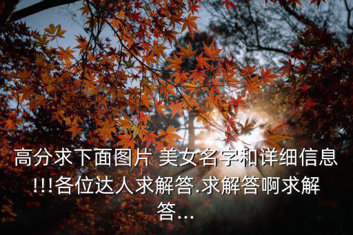 高分求下面圖片 美女名字和詳細信息!!!各位達人求解答.求解答啊求解答...
