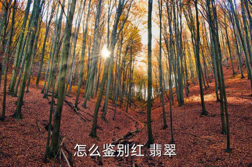 怎么鑒別紅 翡翠