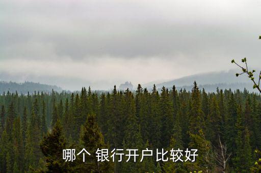 什么銀行好,銀行開戶需出示身份證和證券賬戶卡原件及復印件