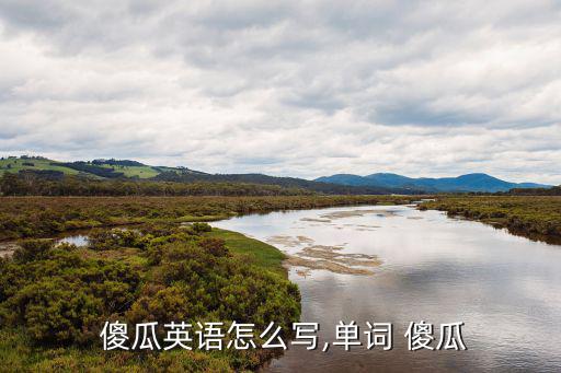  傻瓜英語怎么寫,單詞 傻瓜