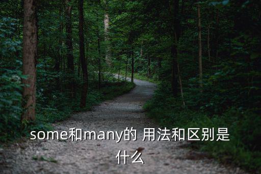 some和many的 用法和區別是什么