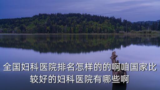 全國婦科醫院排名怎樣的的啊咱國家比較好的婦科醫院有哪些啊