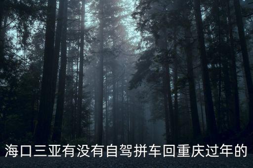 海口三亞有沒有自駕拼車回重慶過年的