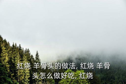 紅燒 羊骨頭的做法, 紅燒 羊骨頭怎么做好吃, 紅燒