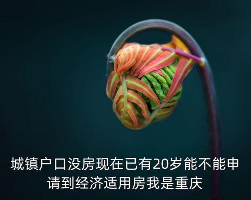 城鎮(zhèn)戶口沒房現(xiàn)在已有20歲能不能申請到經(jīng)濟適用房我是重慶